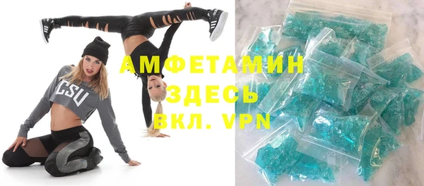 шишки Заводоуковск