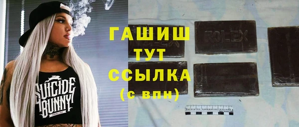 шишки Заводоуковск