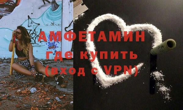 шишки Заводоуковск