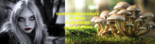 ГАЛЛЮЦИНОГЕННЫЕ ГРИБЫ Заволжск
