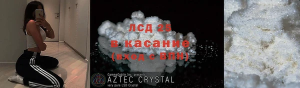шишки Заводоуковск