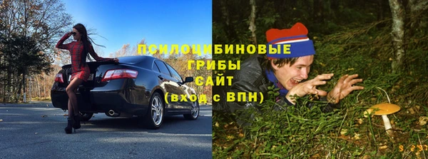 шишки Заводоуковск