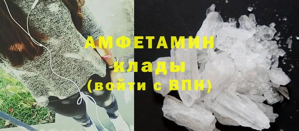 шишки Заводоуковск