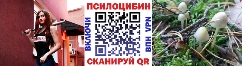 кракен зеркало  Уфа  Галлюциногенные грибы Magic Shrooms 