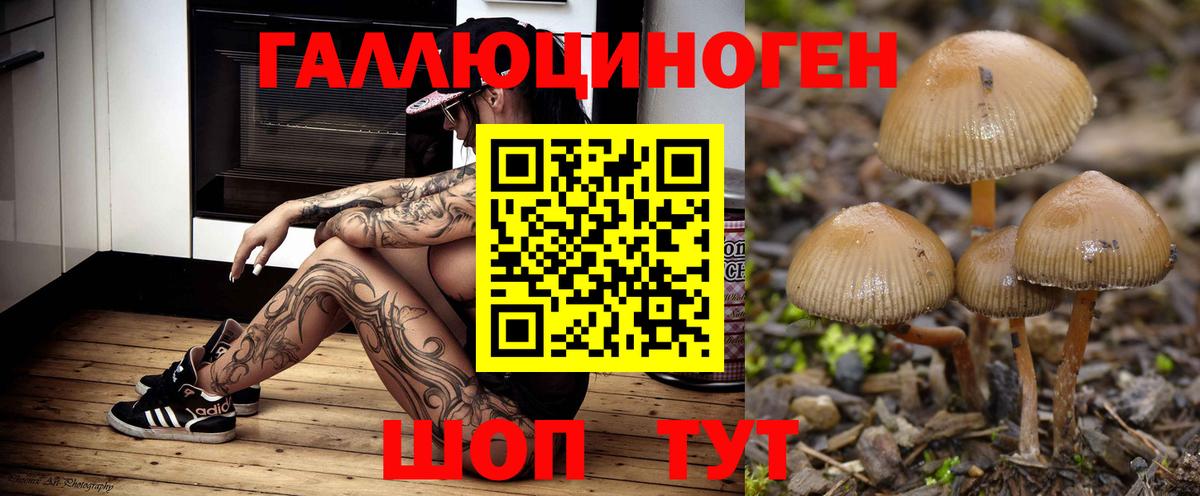 Псилоцибиновые грибы мицелий  Вход с VPN  Уфа 